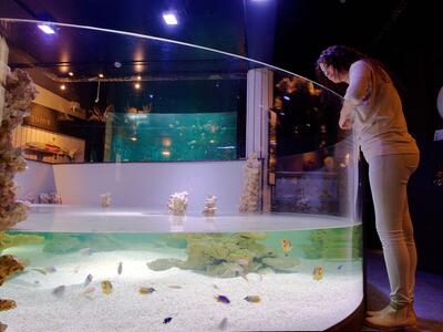 Aquarium-Muséum de Liège